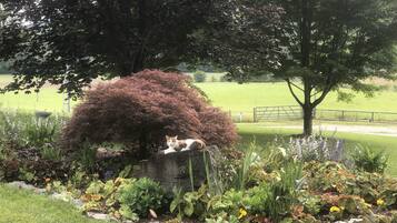 Overnatningsstedets område