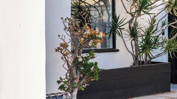 DĂ©tail de lâextĂ©rieur