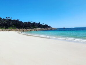 海灘、躺椅、沙灘巾