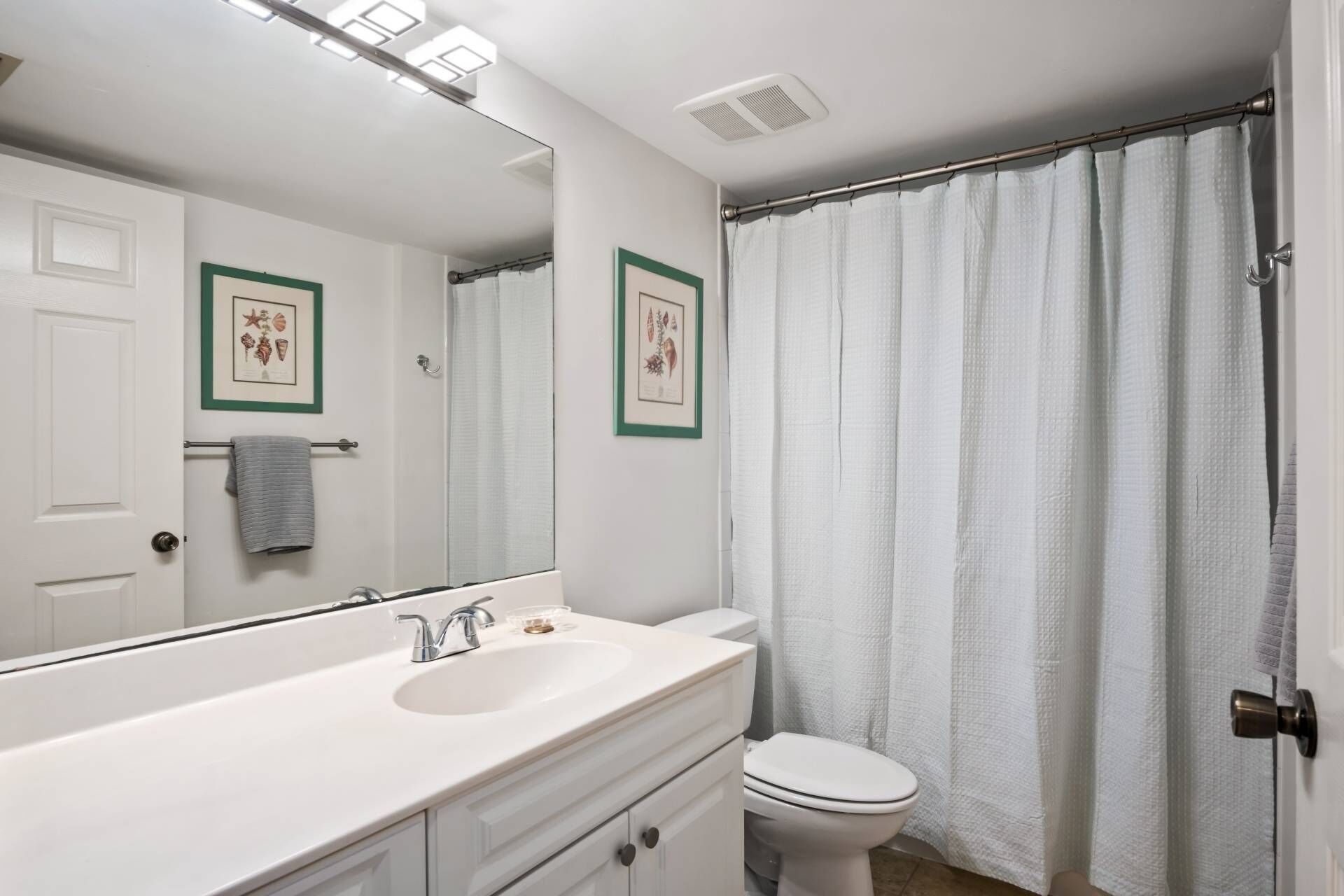 Une salle de bain avec un lavabo blanc, des toilettes, un rideau de douche et deux reproductions botaniques encadrées accrochées au mur.
