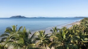 A beach with palm trees and a view of the ocean.