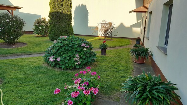 A well-maintained garden with various plants and flowers, a neatly trimmed lawn, and a building with a white exterior.