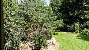 Un jardin agrémenté de divers arbustes et arbres, une pelouse et un rocher.