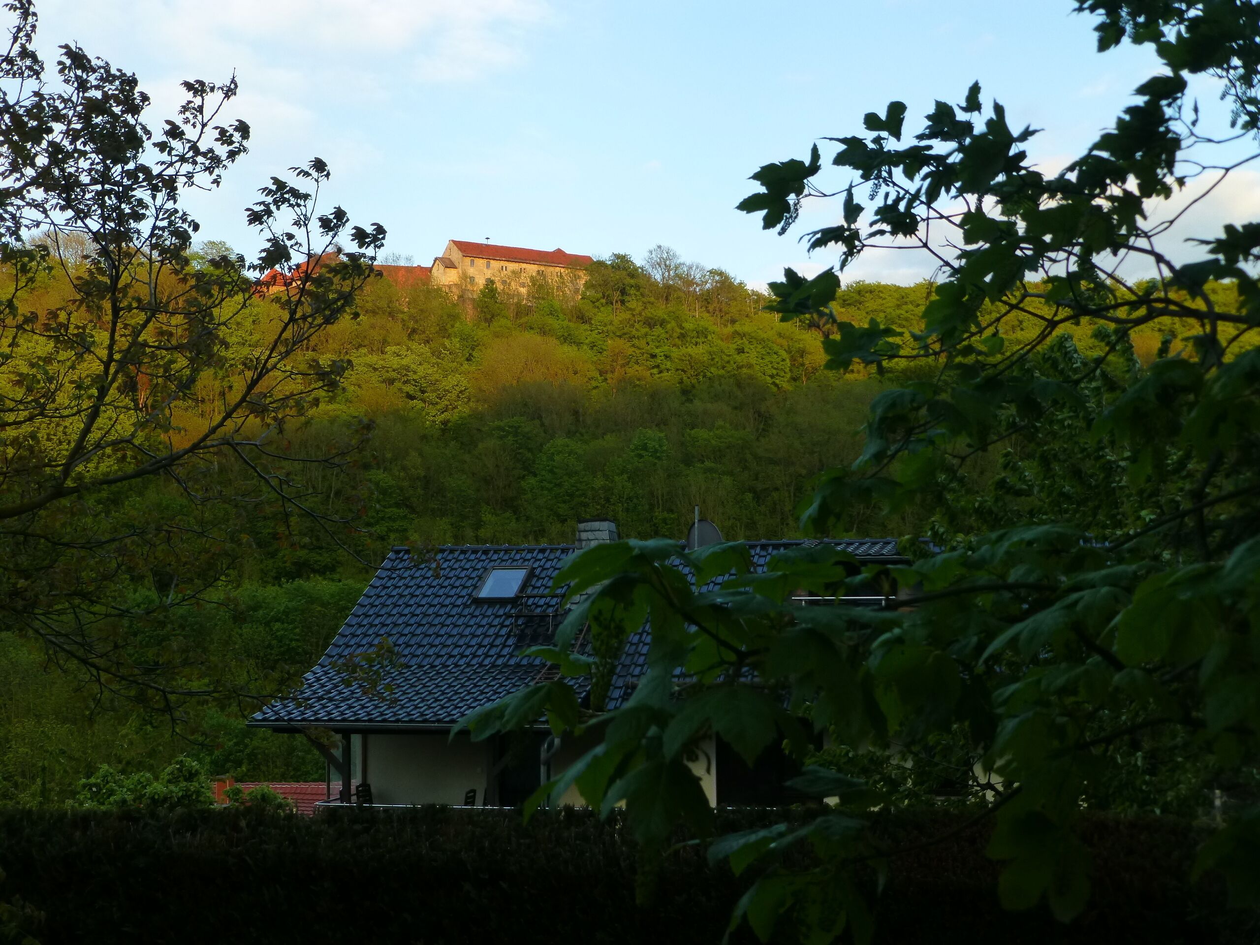 Une maison avec un toit en pente, entourée d’une végétation luxuriante et d’arbres.