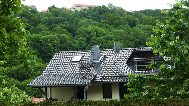 A house with a sloped roof, surrounded by dense greenery and trees. - Castle view apartment 1 (Großlohra)