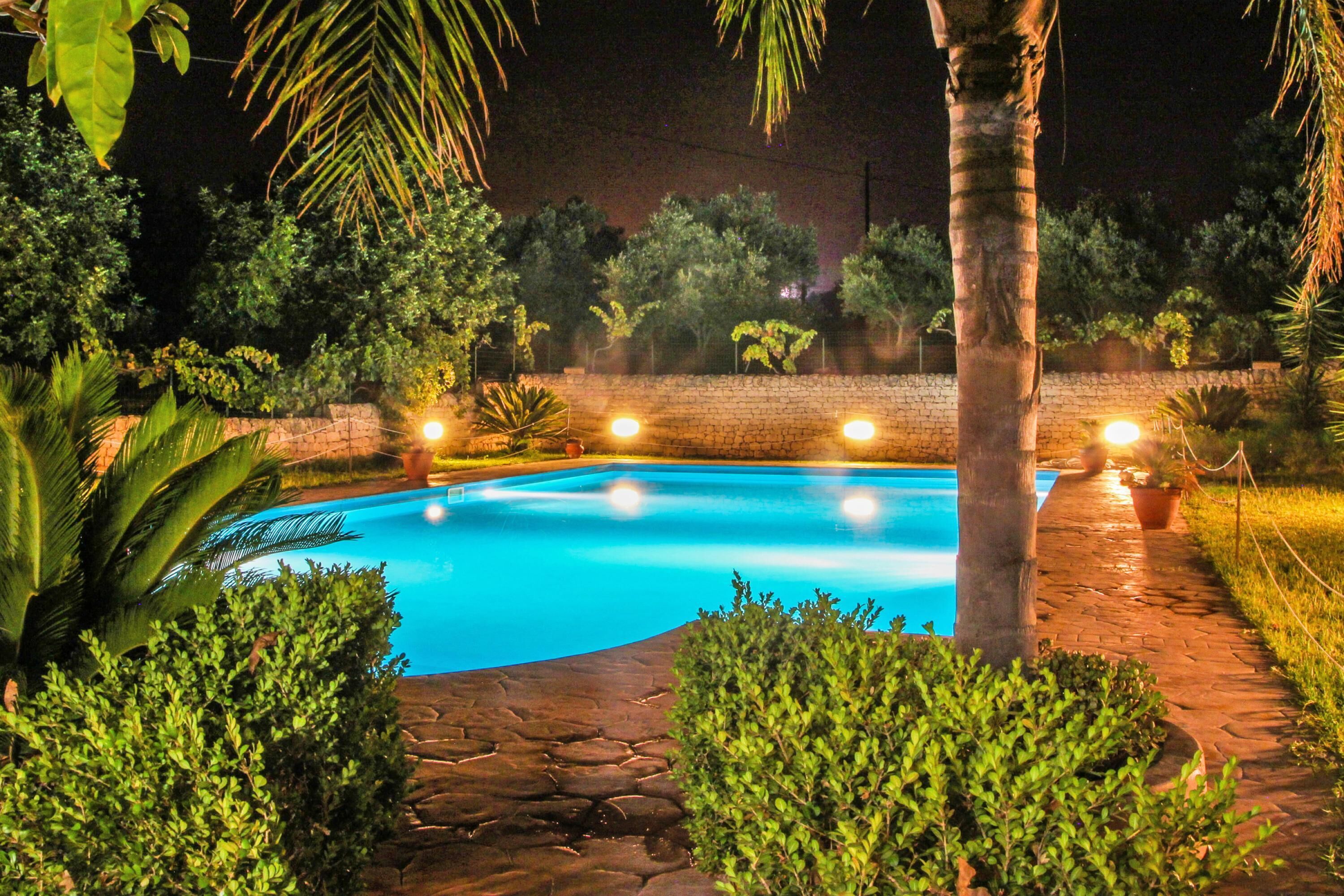 A nighttime swimming pool surrounded by greenery and stone pathways.