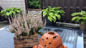 Un jardinière contenant des plantes et une sculpture de tortue en céramique, le tout posé sur une table à surface texturée.