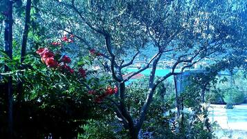 Apartment, Multiple Beds | Property grounds