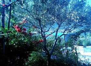 Apartment, Multiple Beds | Property grounds - 3 - Modern Apartment With Garden, 80m From Beach (Marina)