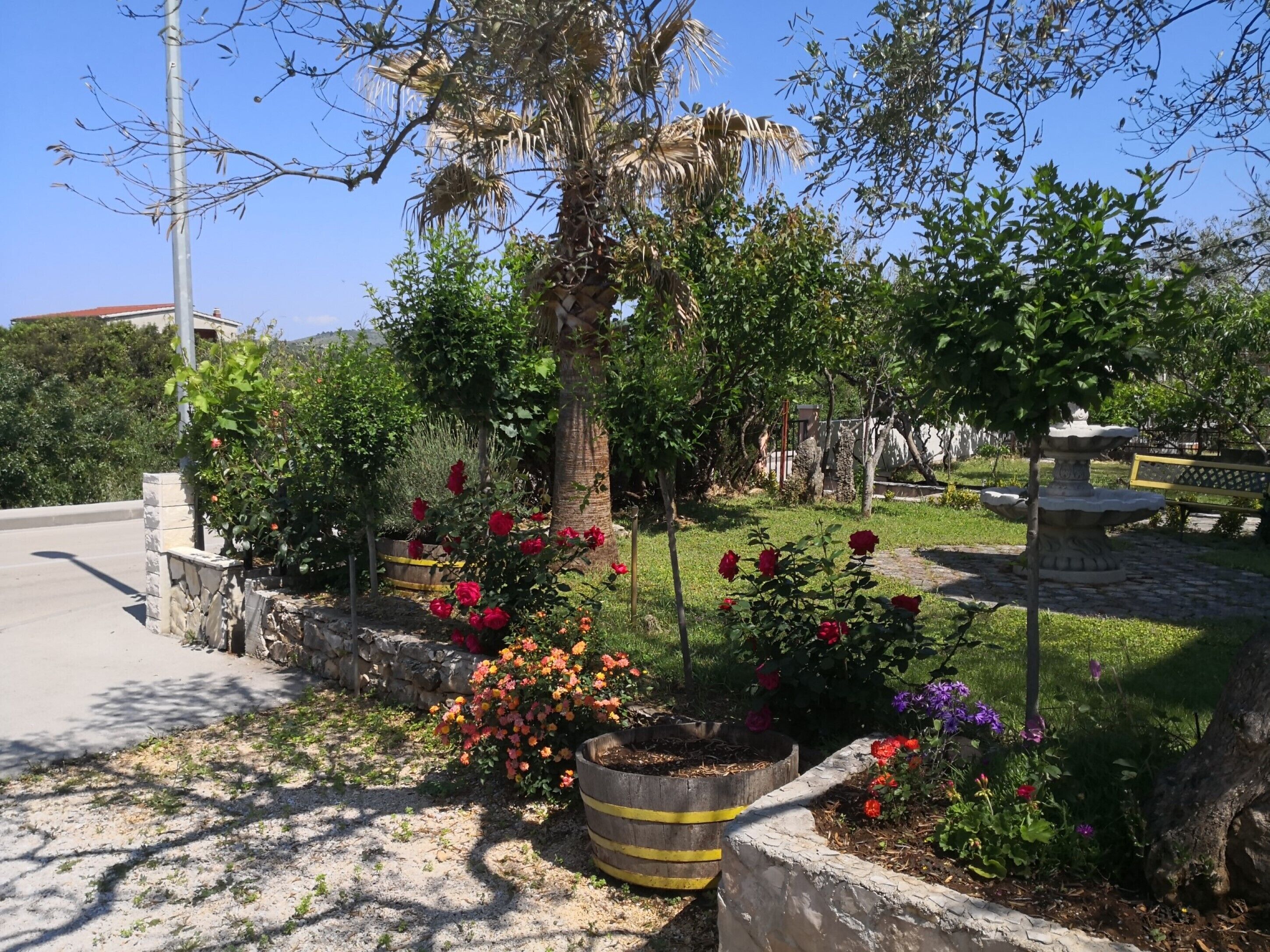 Apartment, 1 Queen-Bett | Unterkunftsgelände