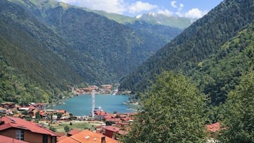 Lake View King Suite | Terrace/patio