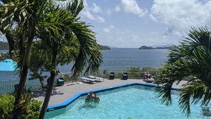 En swimmingpool med kristallklart blått vatten, omgiven av palmer och en terrass med solstolar.