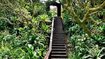 Vista al jardín