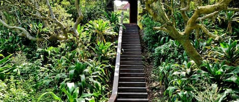 Vista al jardín