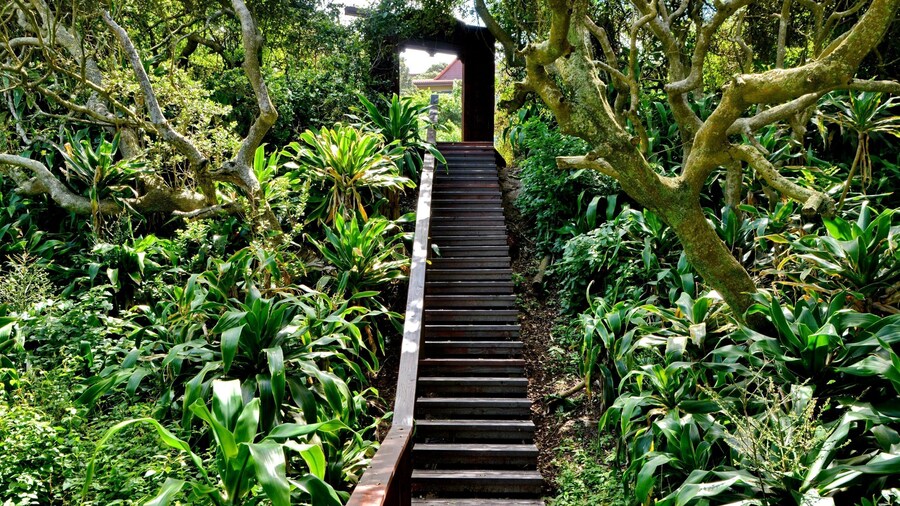 ANEW Hotel Ocean Reef Zinkwazi