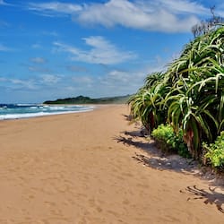 On the beach, white sand