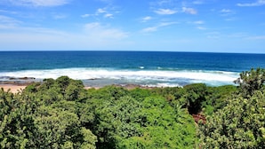 Un paisaje costero con abundante vegetación verde, una playa de arena y el océano.