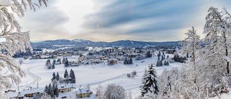 A panoramic view of a snow-covered town with buildings, trees, and a winding road.