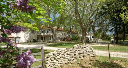 Mas 9 Romanin : Gîte Alfredo