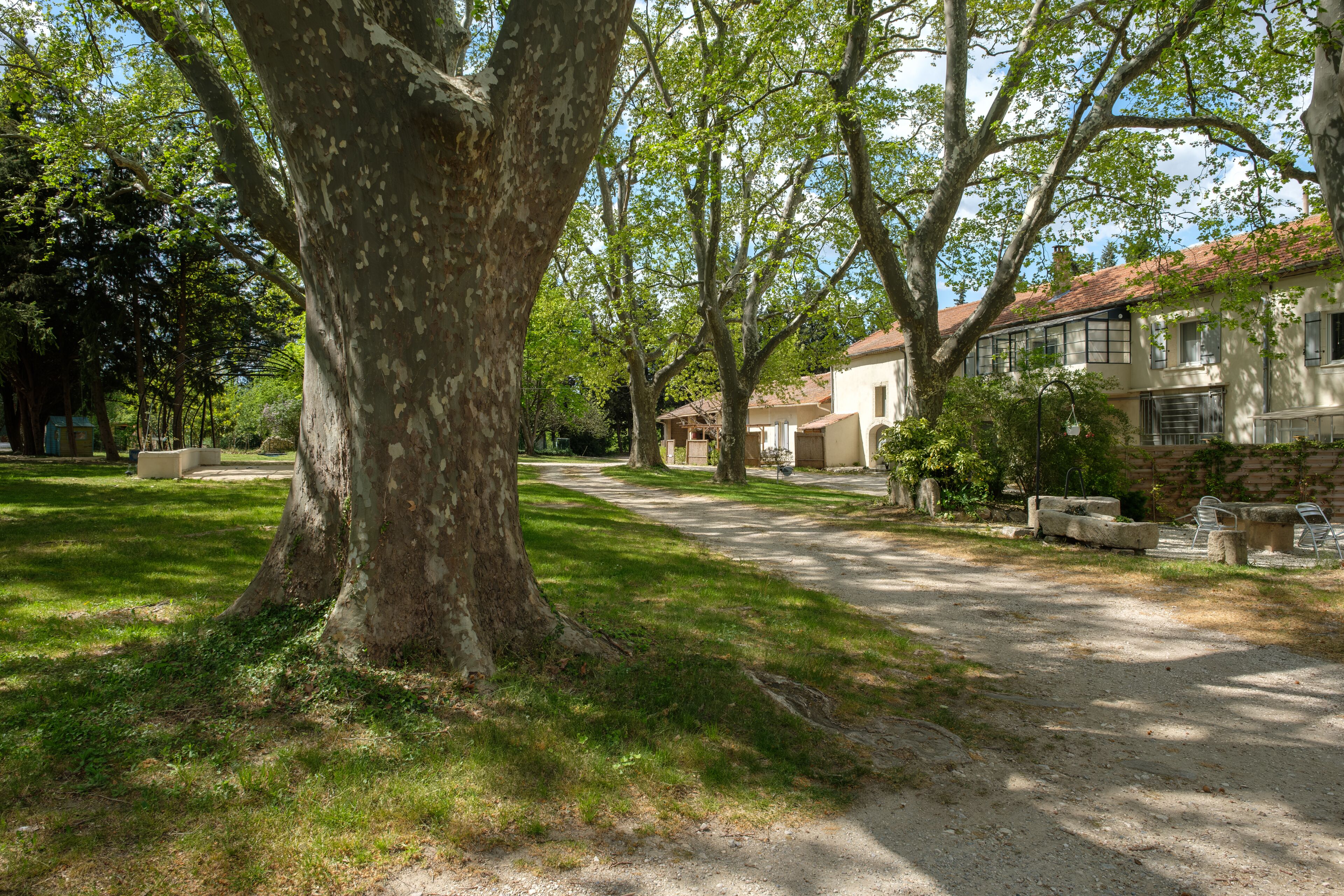 Um caminho arborizado que leva a um edifício com telhado de telhas vermelhas.