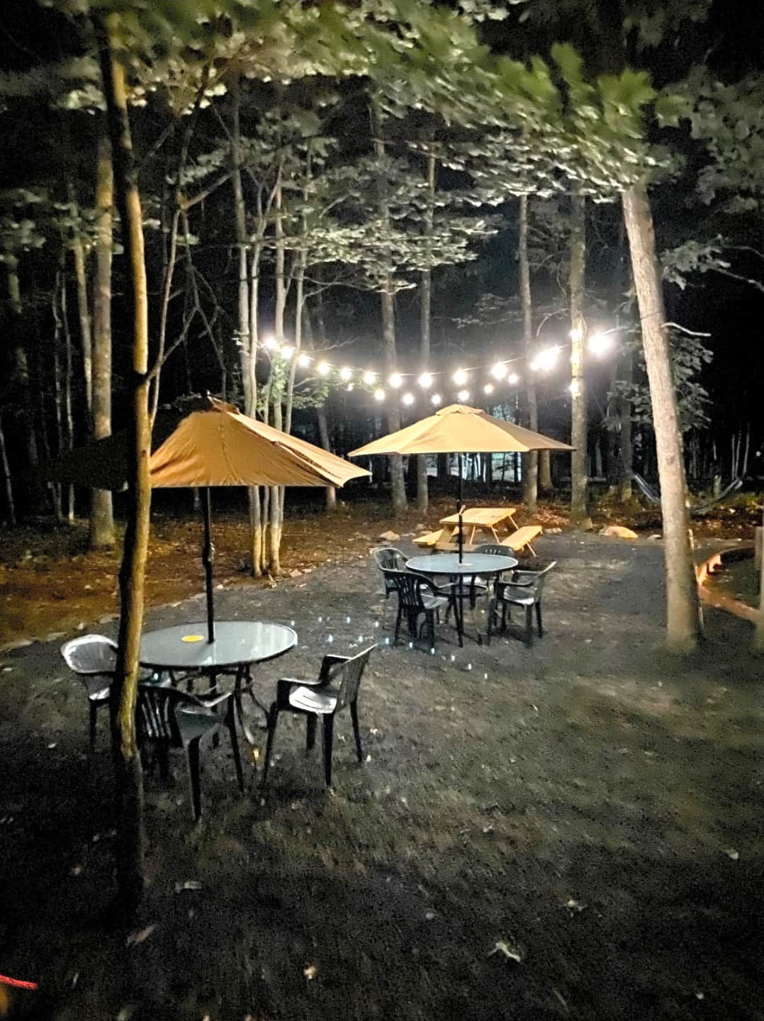 An outdoor dining area with tables and chairs, surrounded by trees, and string lights overhead.