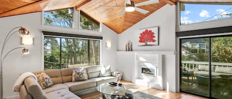 TV, fireplace, offices