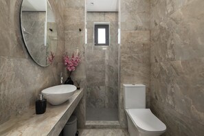 Combined shower/tub, hair dryer, towels