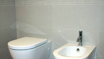 Shower, hair dryer, bidet, towels