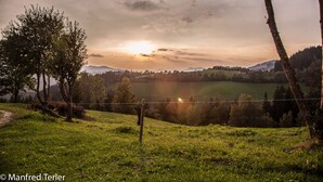 A rural landscape with a grassy field, trees, and a fence.