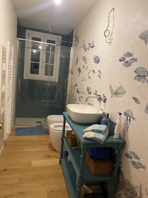 Shower, hair dryer, bidet, towels