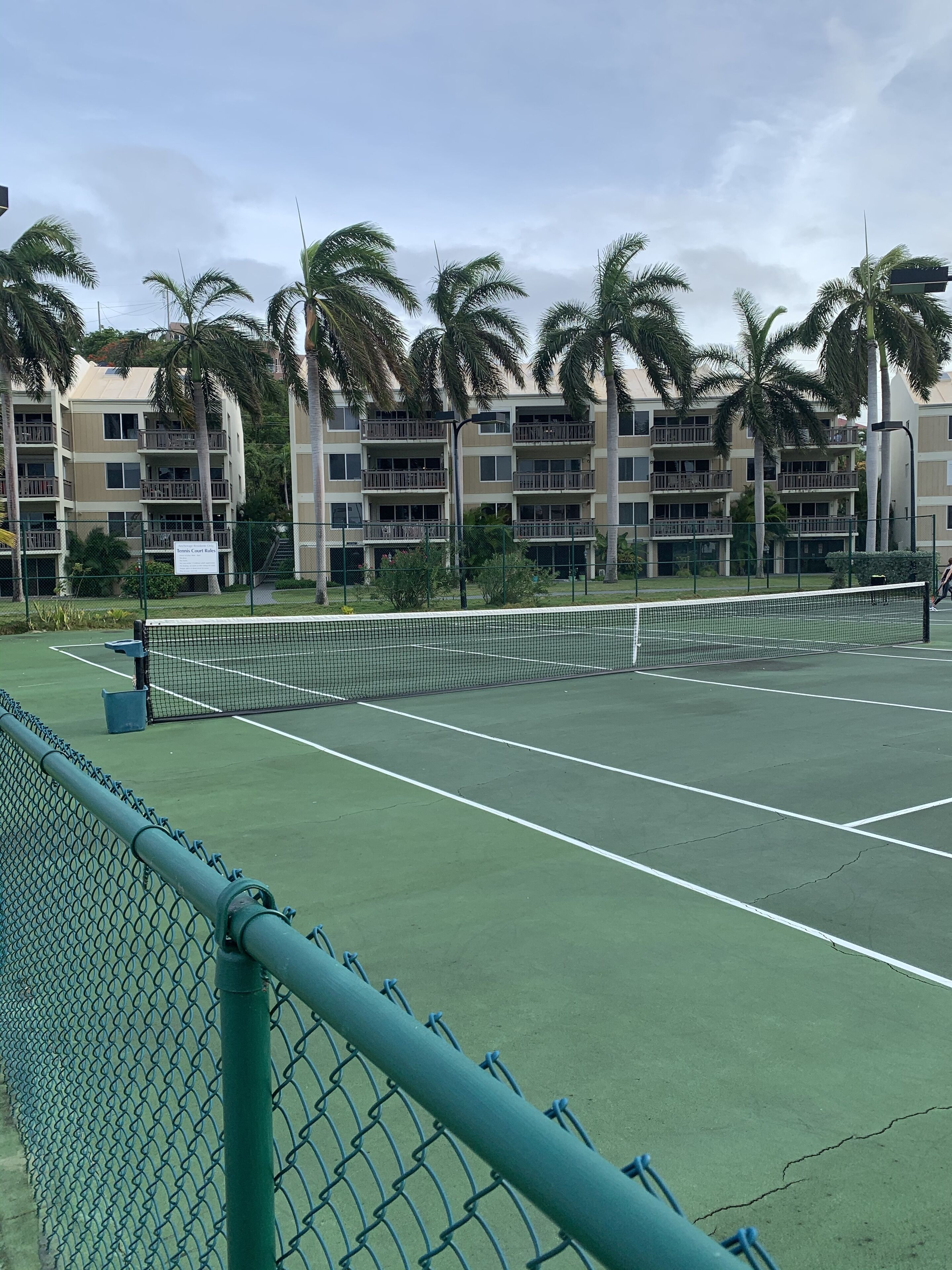 A tennis court with a net, surrounded by a chain-link fence, and palm trees in the background.