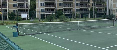 A tennis court with a net, surrounded by a chain-link fence, and palm trees in the background.