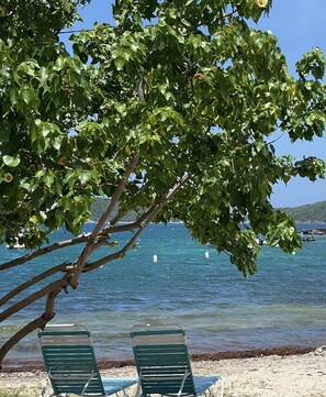 Une plage avec deux chaises longues vertes sous un arbre, une mer d’un bleu limpide et des bateaux à l’horizon.