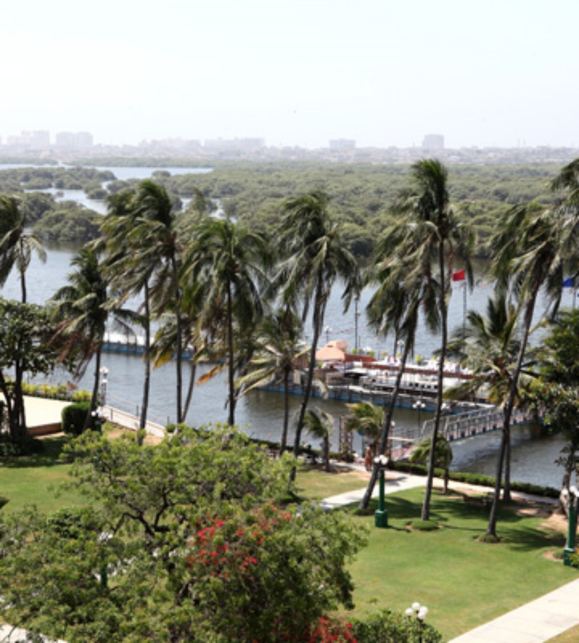 Um parque à beira-mar com palmeiras e vista para a água.