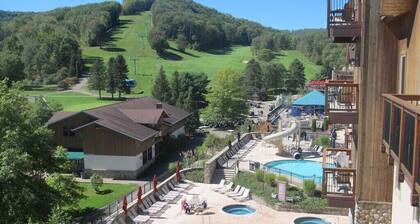 1BR 1BA Full Kitchen Ski In/Out Golf Tamarac Club Holiday Valley Condo Sleeps 4