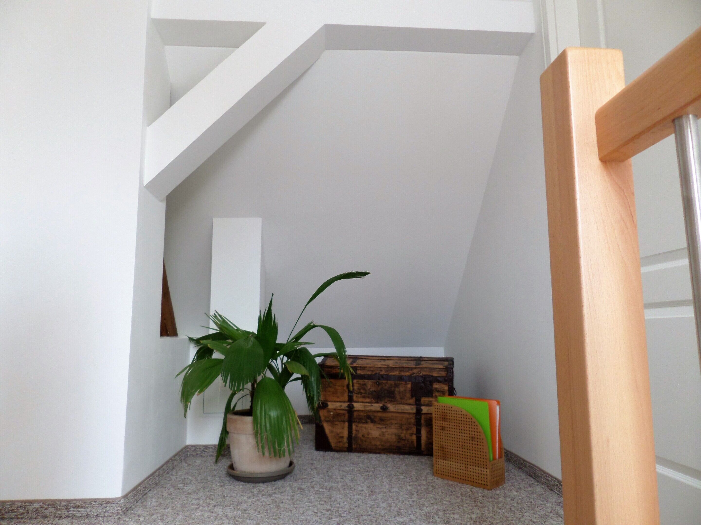 A corner of a room with a potted plant, a wooden chest, and a wicker basket on a carpeted floor.