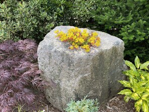 Nhà | Khuôn viên nơi lưu trú