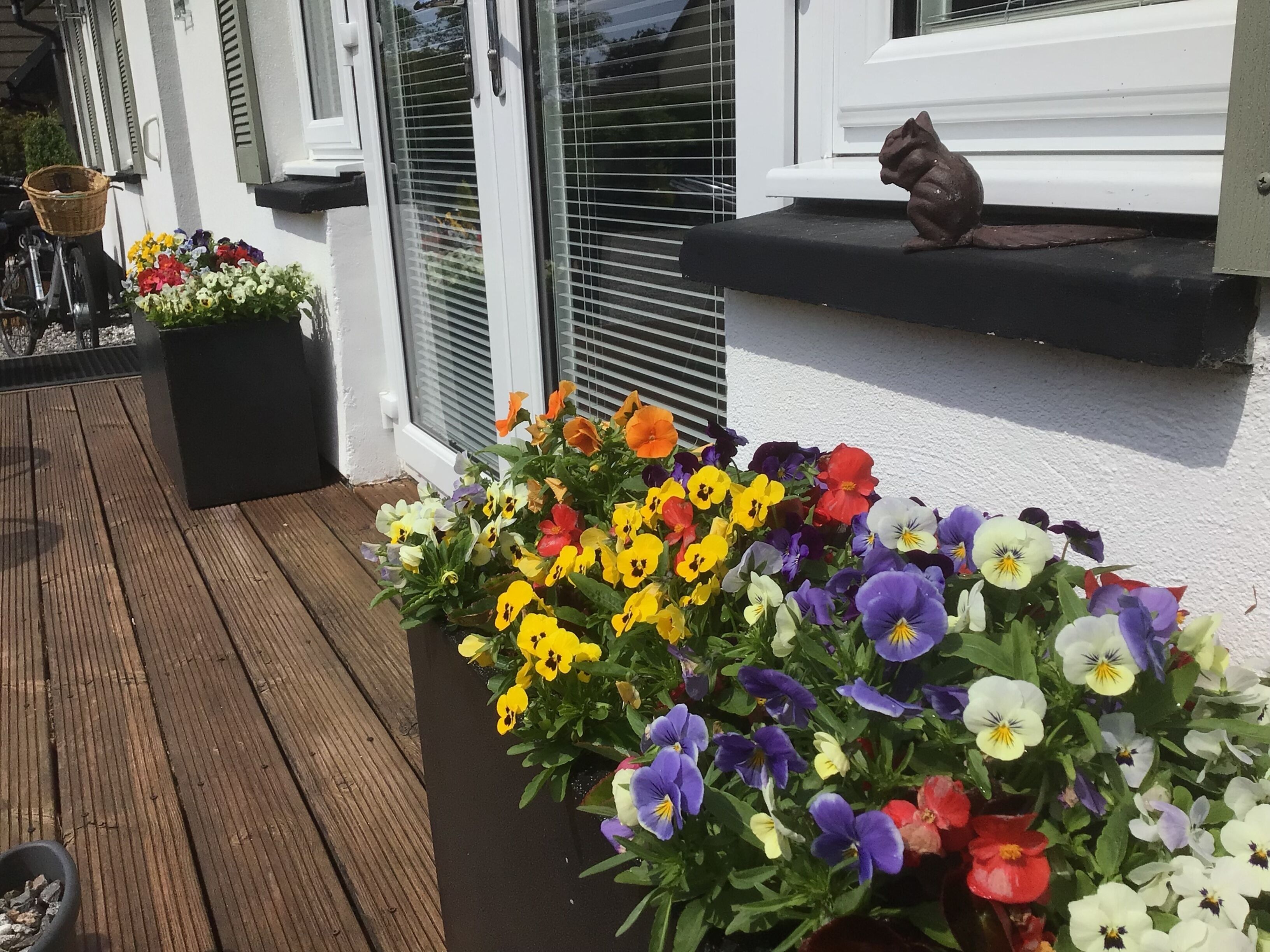 A wooden deck with a flower planter and a cat on a window sill.
