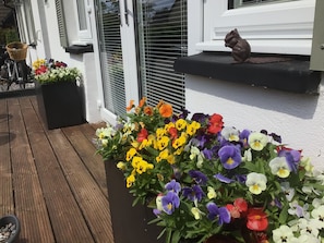 A wooden deck with a flower planter and a cat on a window sill.