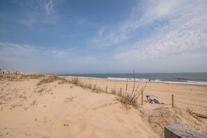 Playa en los alrededores y camastros 