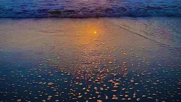 Atardecer sobre una playa con olas y cielo despejado.