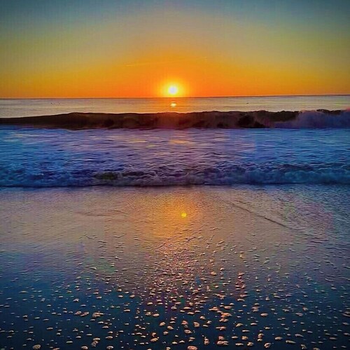 Come Hang at the Treehouse! 