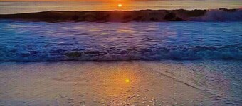 Come Hang at the Treehouse! 