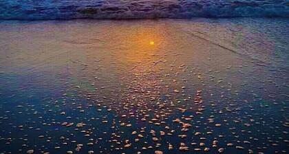 Come Hang at the Treehouse!