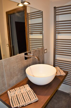 Shower, hair dryer, bidet, towels