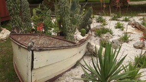 A boat-shaped planter filled with various cacti and succulents, placed on a gravel surface. - A2 - Cozy Apartment, Best Location in Supetar (Supetar)