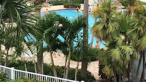 A swimming pool surrounded by palm trees and a white fence. - Spectacular Ocean Front Home In Beautiful Islamorada!Slip,Com Pool, & Prv Bch (Islamorada)