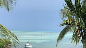 A boat on calm turquoise waters, surrounded by lush greenery and palm trees. - Spectacular Ocean Front Home In Beautiful Islamorada!Slip,Com Pool, & Prv Bch (Islamorada)