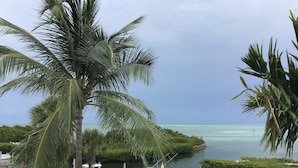 A marina with boats docked, surrounded by palm trees and a calm sea. - Spectacular Ocean Front Home In Beautiful Islamorada!Slip,Com Pool, & Prv Bch (Islamorada)