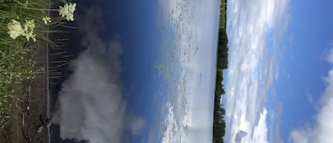 Ein ruhiger See mit Spiegelungen des Himmels und der umliegenden Bäume.